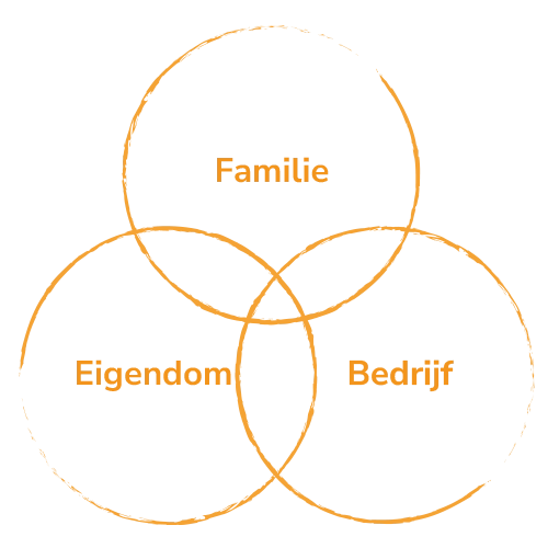 Bedrijfsopvolging-familiebedrijf-driecirkelmodel bedrijfsopvolging familiebedrijf driecirkelmodel drie cirkel